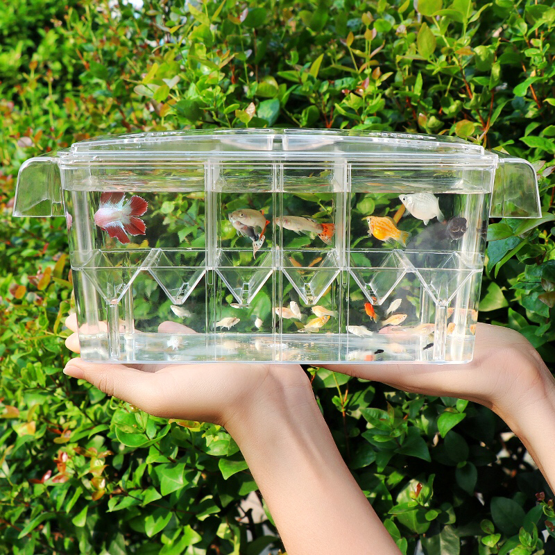 Aquarium Xxl - Clear Aquarium Fish Tank Isolation Box