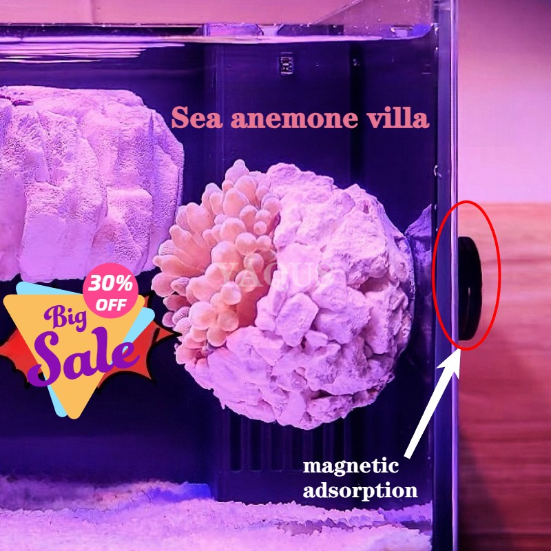 Aquarium Fish Tank Price - New DIY Handmade Floating Magnetic Sunflower
