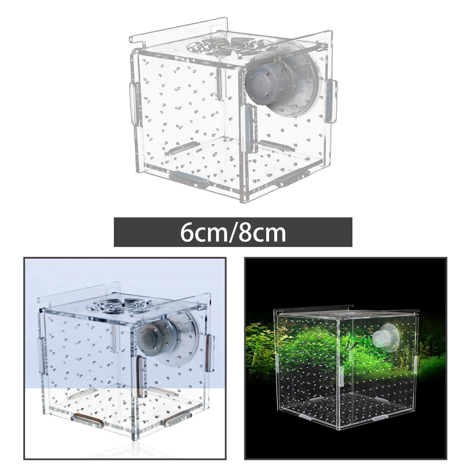 Aquarium Xxl - Fish Breeder Box Clear Durable Suction