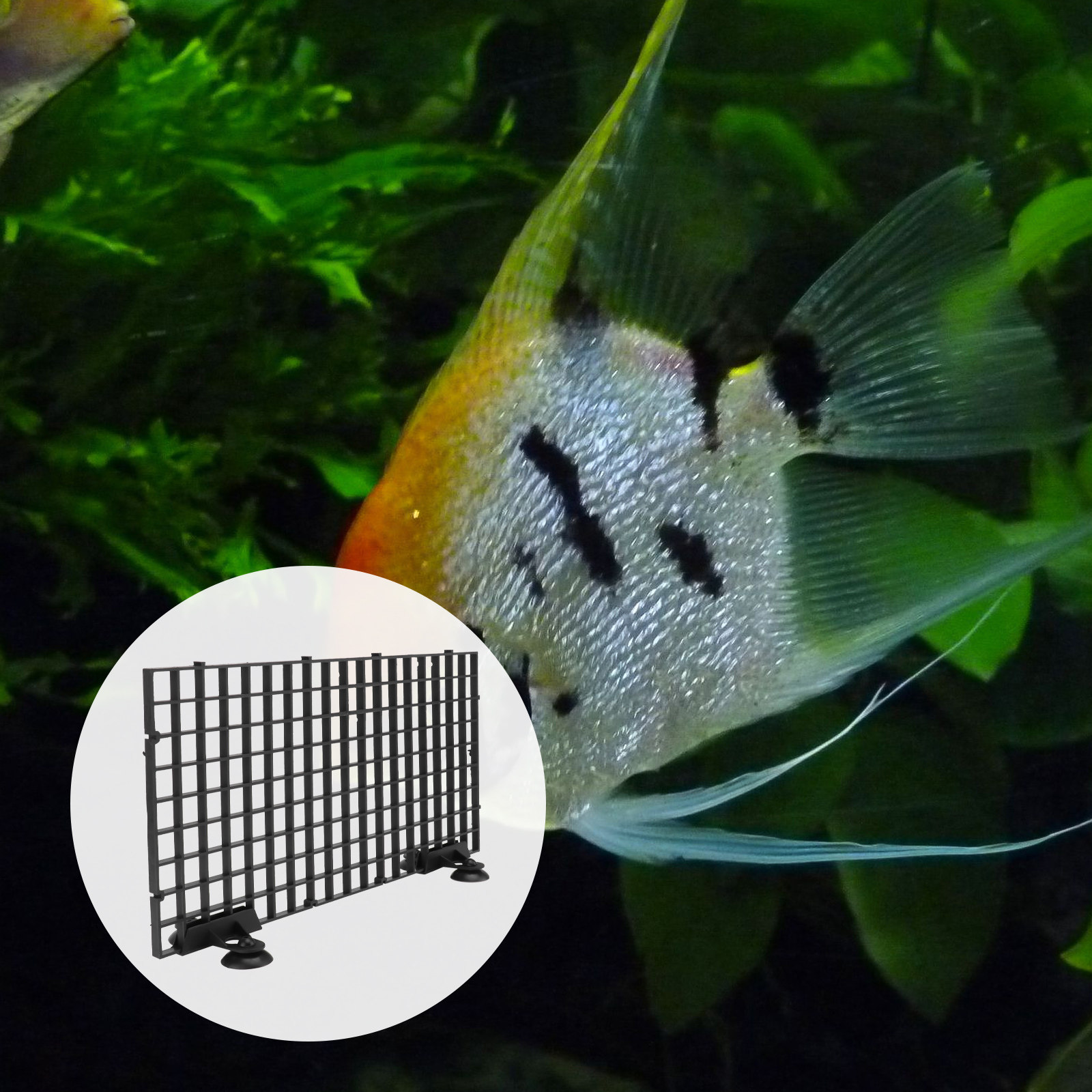 Aquarium Fish Net Big Size - Fish Breeder Net Big Size Black
