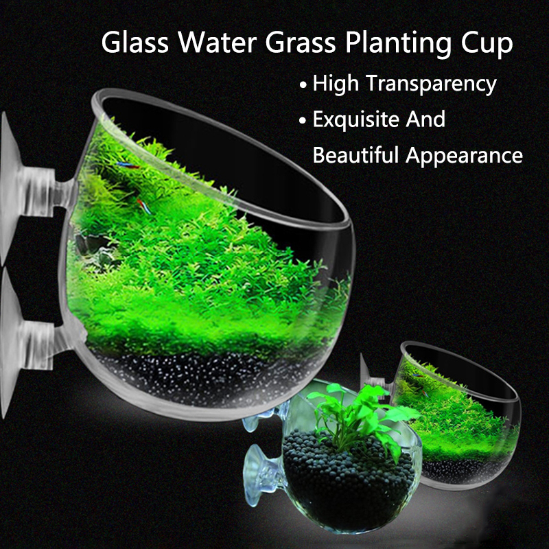 Aquarium Fish Tank Price - Glass Aquarium Decoration Hanging Cup Fish