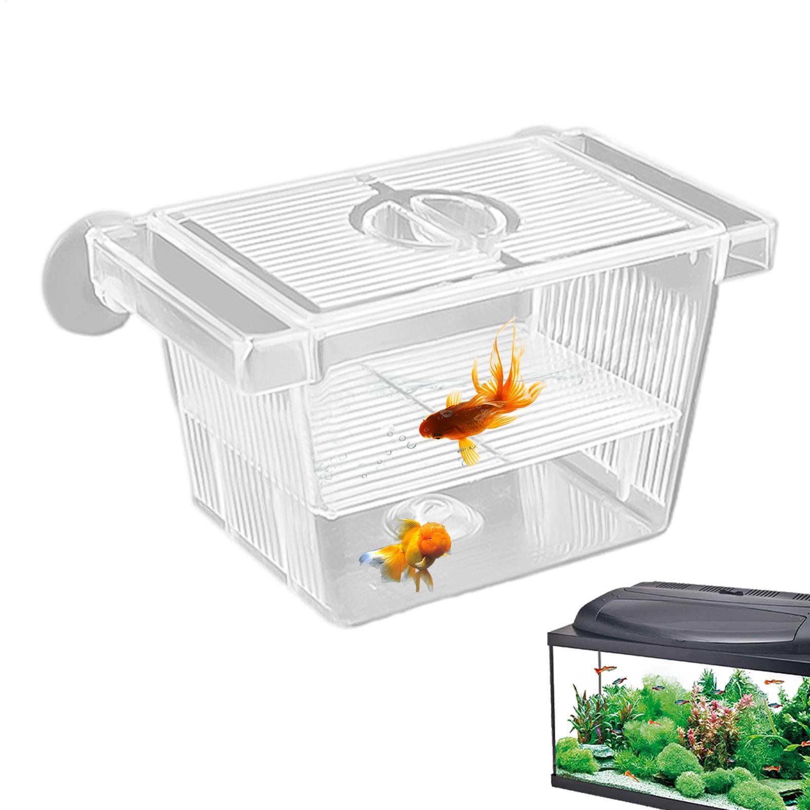 Aquarium Xxl - Aquarium Hatchery Acrylic Isolation Box Breeding