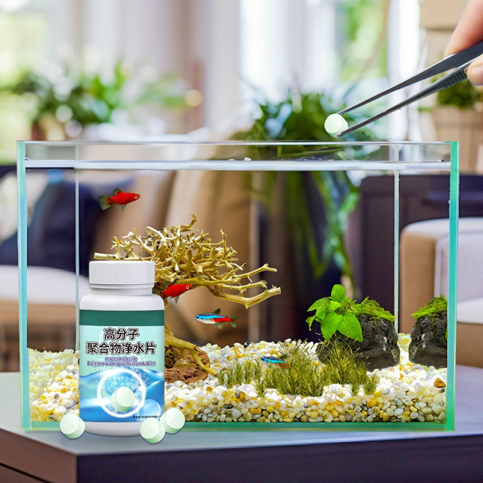Fish Can Algae Remover Aquariu - Aquarium Fish Care ulasan dan harga