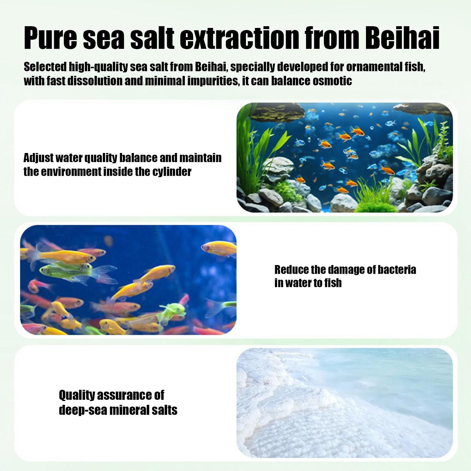 Fish Can Algae Remover Aquariu - Aquarium Fish Care ulasan dan harga