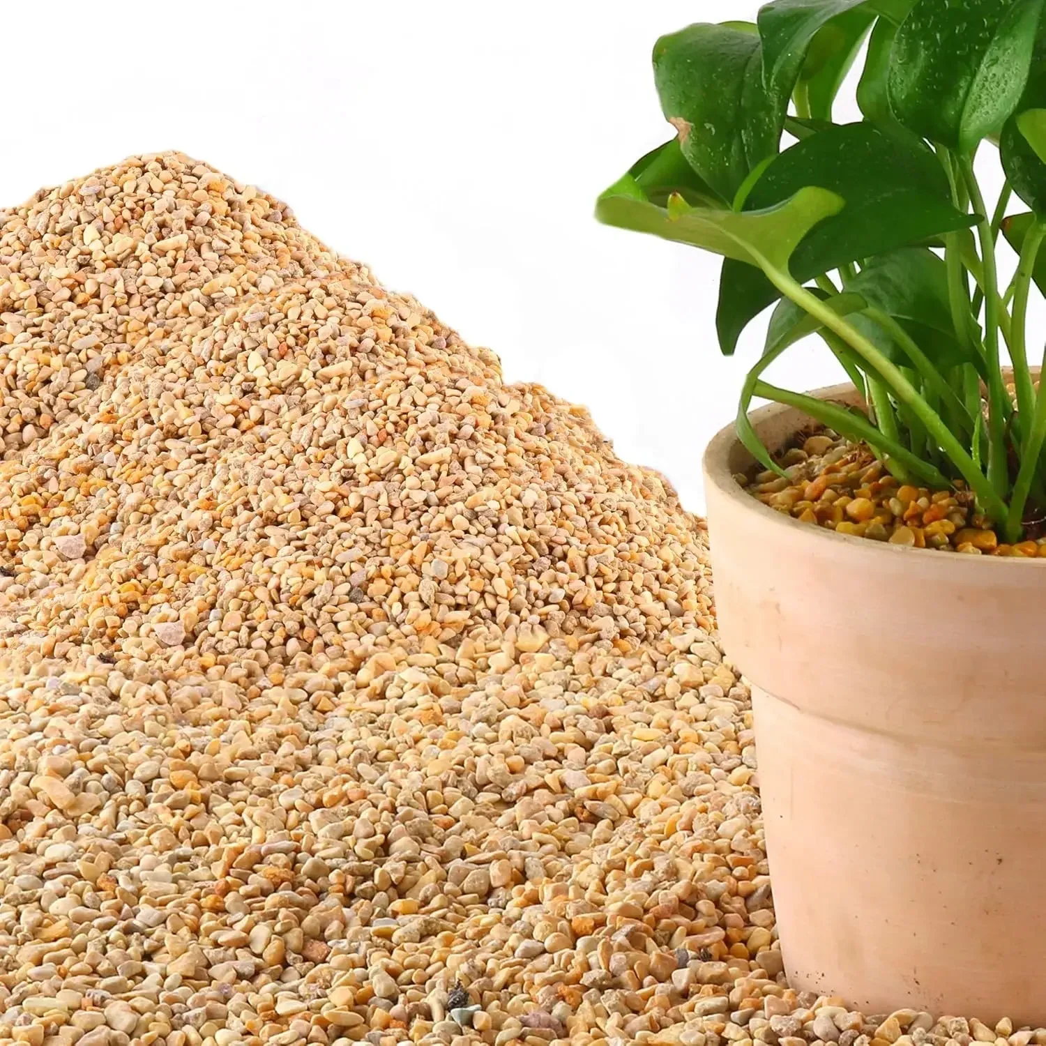 45Lb 1/5Inch Natural Pea Grave - Aquarium Decoration Rock ulasan dan harga