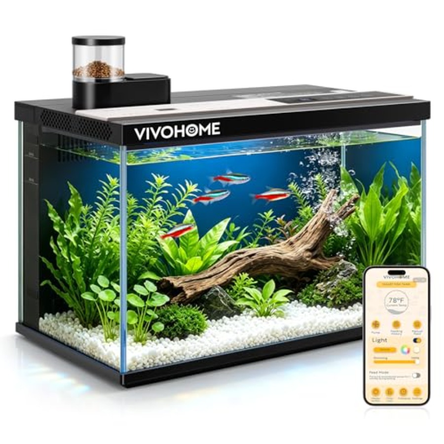 5 Gallon Smart Fish Tank with  - Aquarium Fish Auto Feeder ulasan dan harga