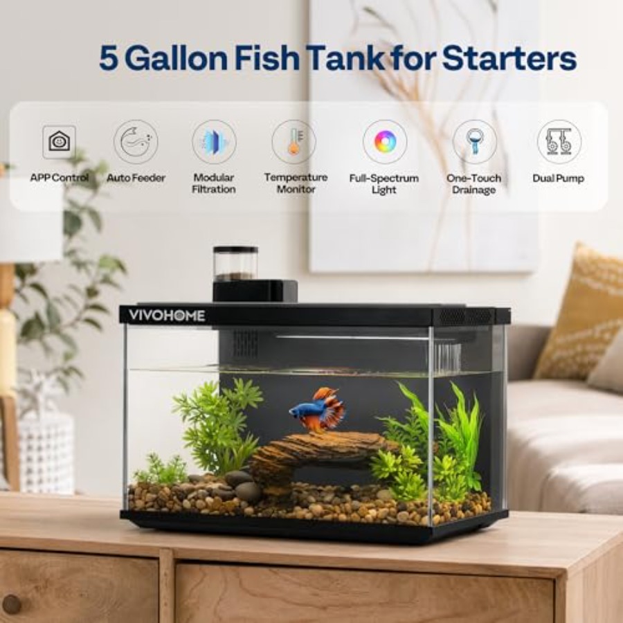 5 Gallon Smart Fish Tank with  - Aquarium Fish Auto Feeder ulasan dan harga