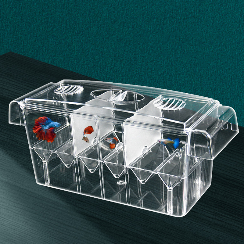 Clear Aquarium Fish Tank Isola - Aquarium Xxl ulasan dan harga