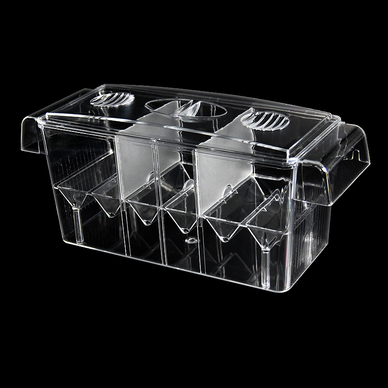 Clear Aquarium Fish Tank Isola - Aquarium Xxl ulasan dan harga