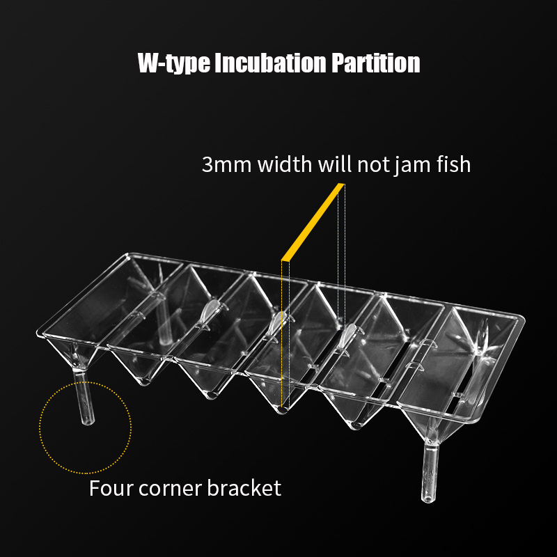 Clear Aquarium Fish Tank Isola - Aquarium Xxl ulasan dan harga