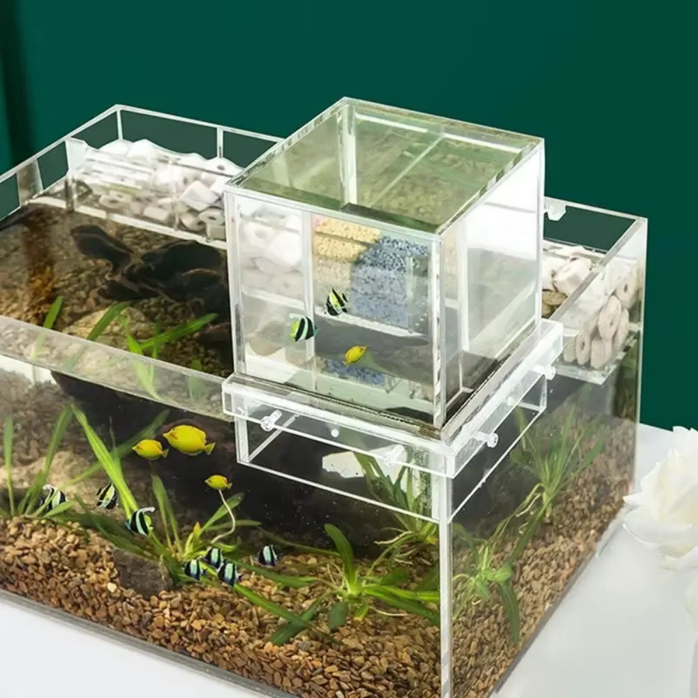 Landscaping Negative Pressure  - Aquarium Xxl ulasan dan harga
