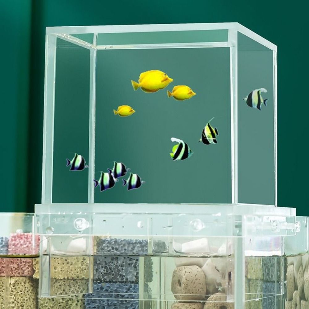 Landscaping Negative Pressure  - Aquarium Xxl ulasan dan harga