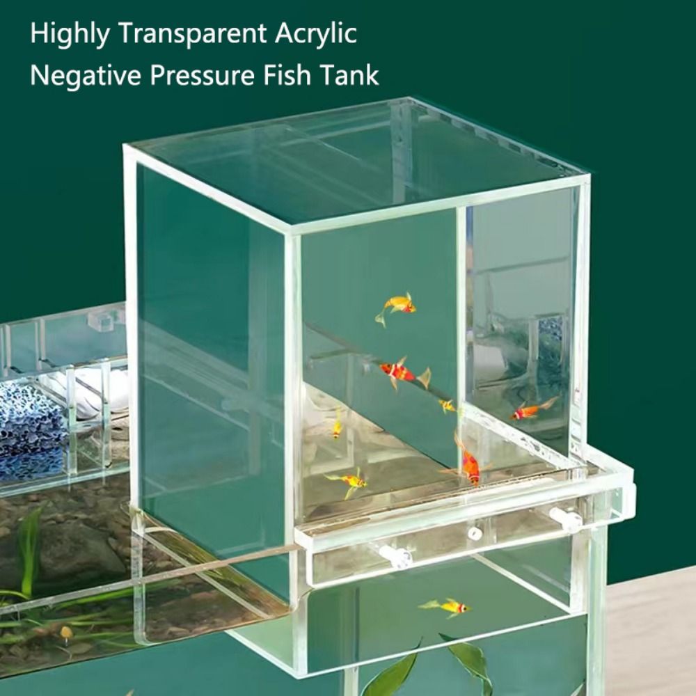 Landscaping Negative Pressure  - Aquarium Xxl ulasan dan harga