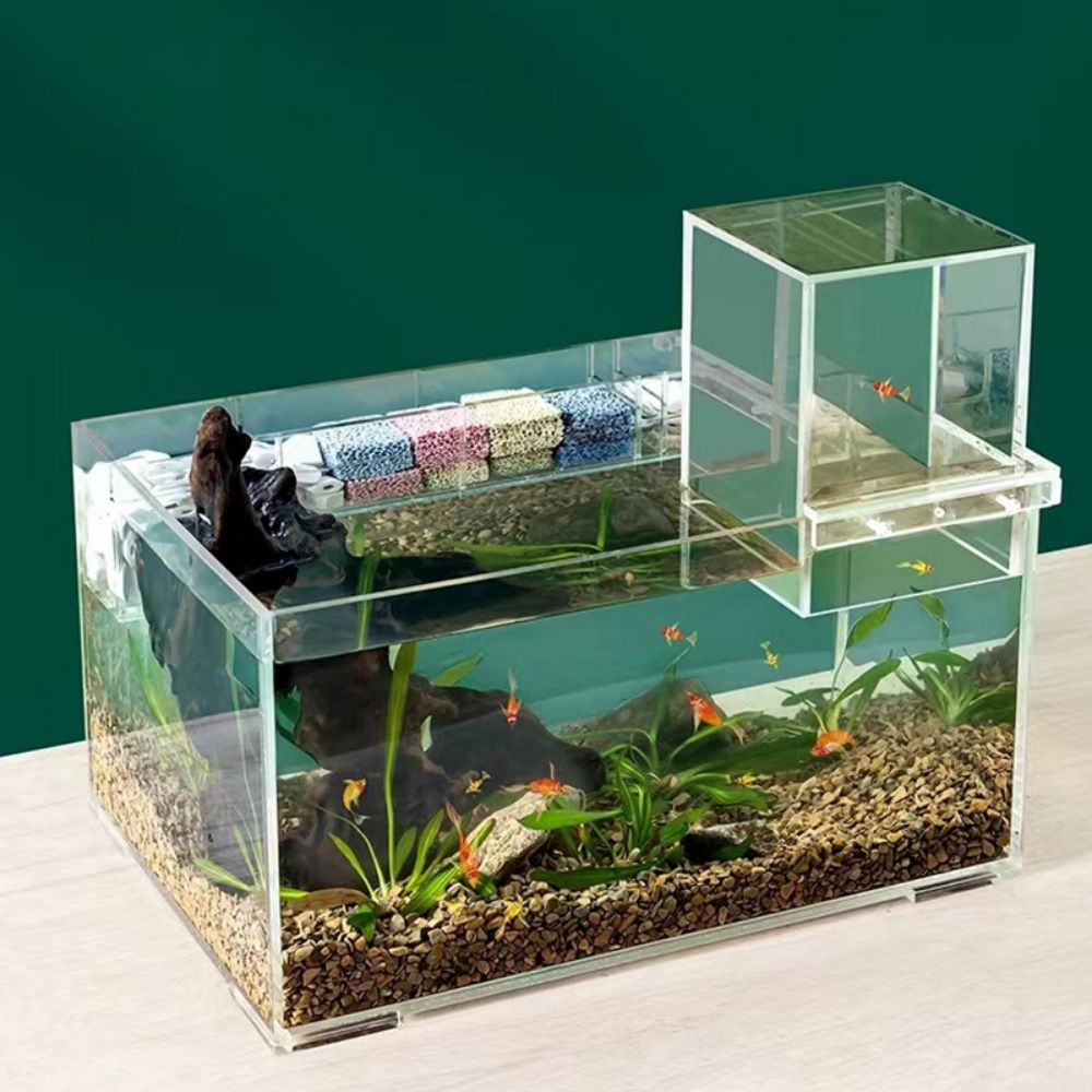 Landscaping Negative Pressure  - Aquarium Xxl ulasan dan harga