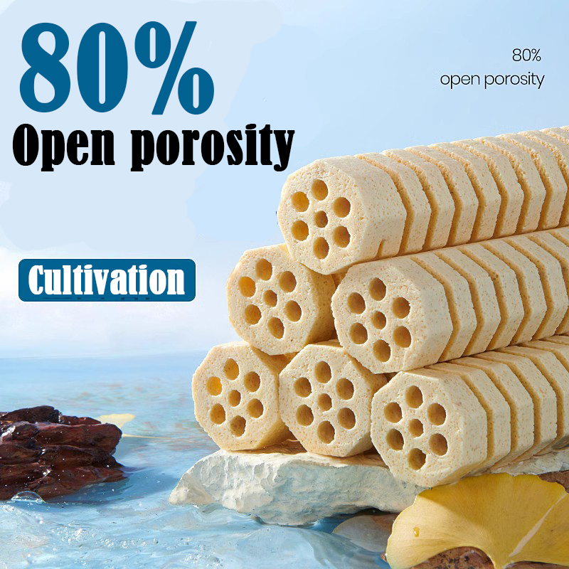 2Pcs/Lot Aquarium Fish Tank Fi - Fish Tank Filter Aquarium ulasan dan harga