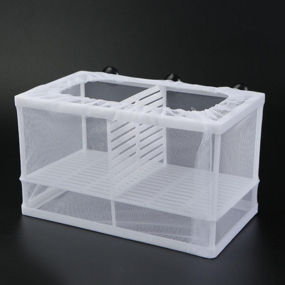 Aquarium Fish Breeder Box with - Aquarium Xxl ulasan dan harga