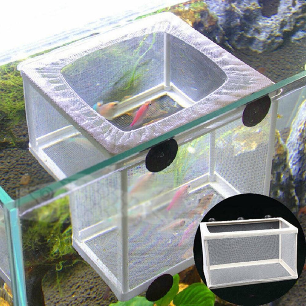 Aquarium Fish Breeder Box with - Aquarium Xxl ulasan dan harga