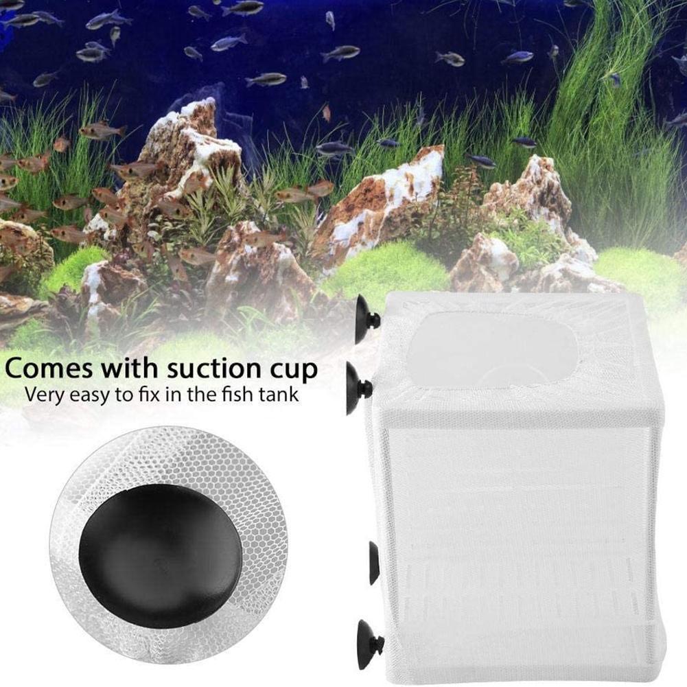 Aquarium Fish Breeder Box with - Aquarium Xxl ulasan dan harga