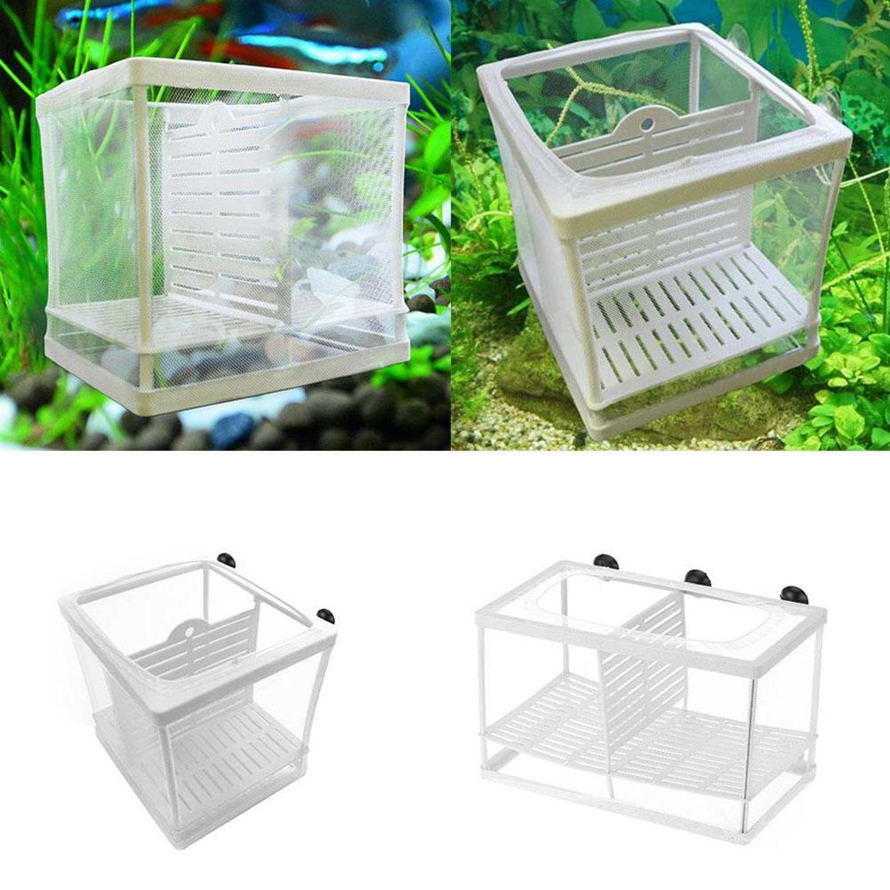 Aquarium Fish Breeder Box with - Aquarium Xxl ulasan dan harga