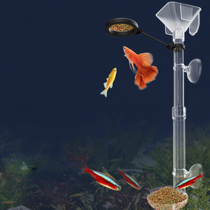 Acrylic Aquarium Fish Feeder T - Aquarium Fish Food ulasan dan harga