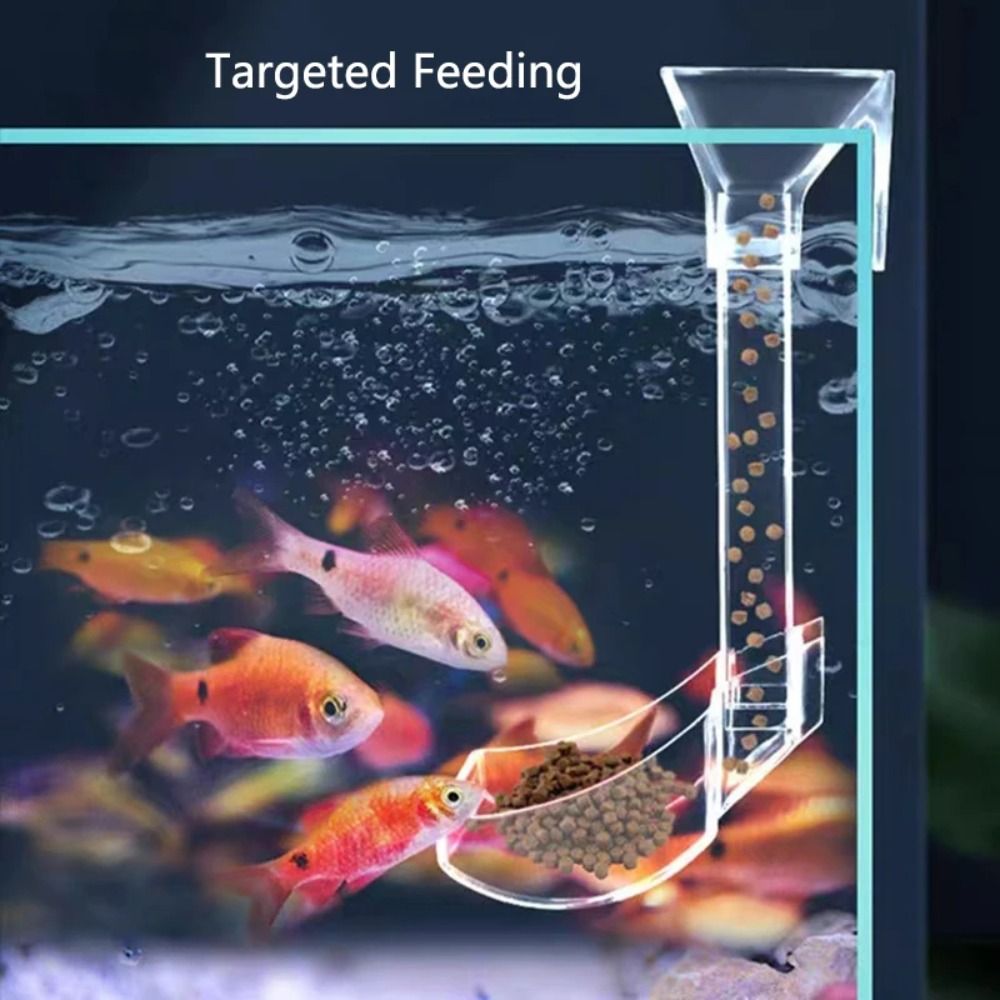 Transparent Aquarium Fish Tank - Aquarium Fish Food ulasan dan harga