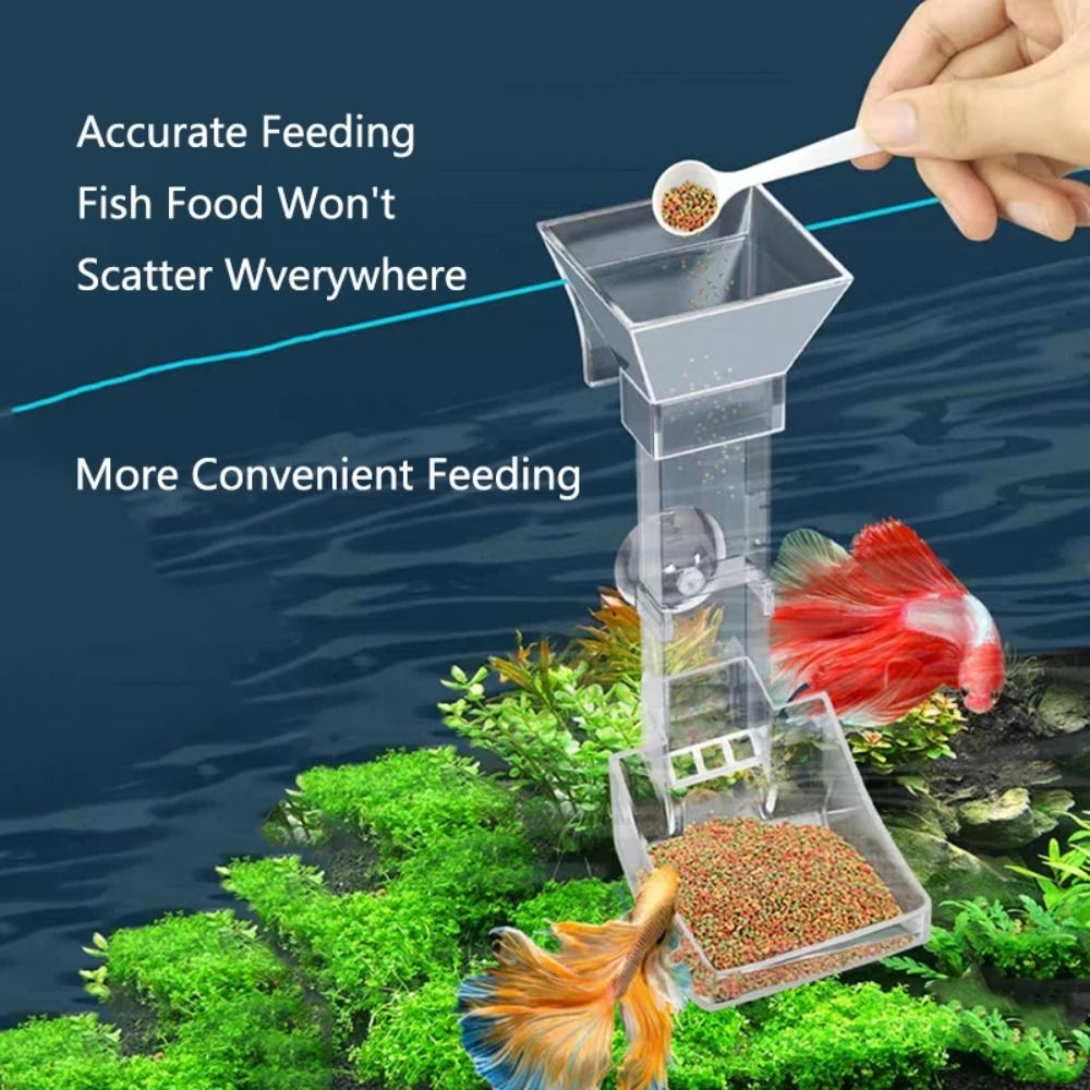 Transparent Aquarium Fish Tank - Aquarium Fish Food ulasan dan harga