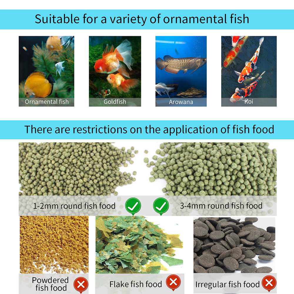 100ML Large Capacity Fish Feed - Aquarium Fish Auto Feeder ulasan dan harga
