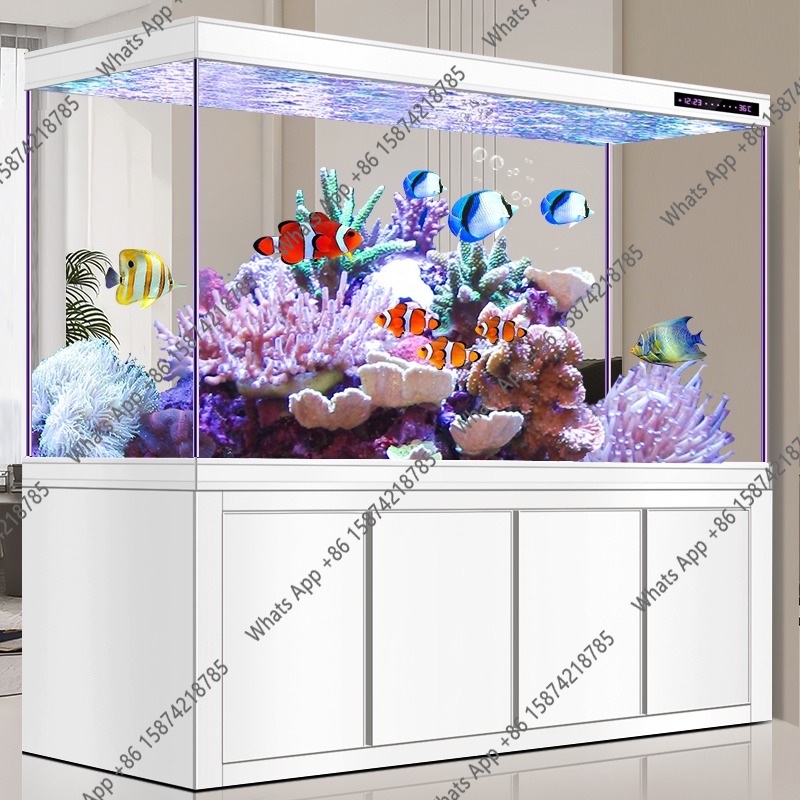 X Arowana Tank Ultra-white Gla - Aquarium Xxl ulasan dan harga