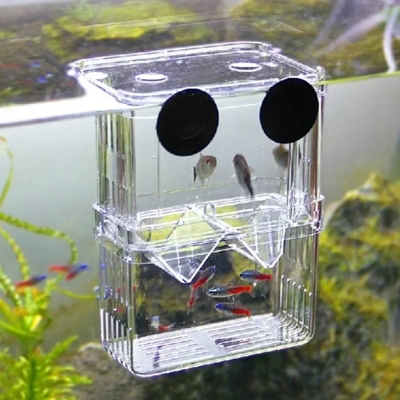 Transparent Fish Aquarium High - Aquarium Xxl ulasan dan harga