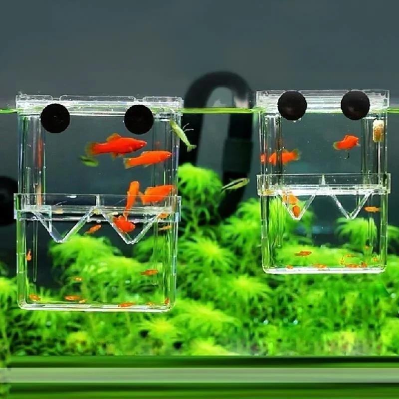 Transparent Fish Aquarium High - Aquarium Xxl ulasan dan harga