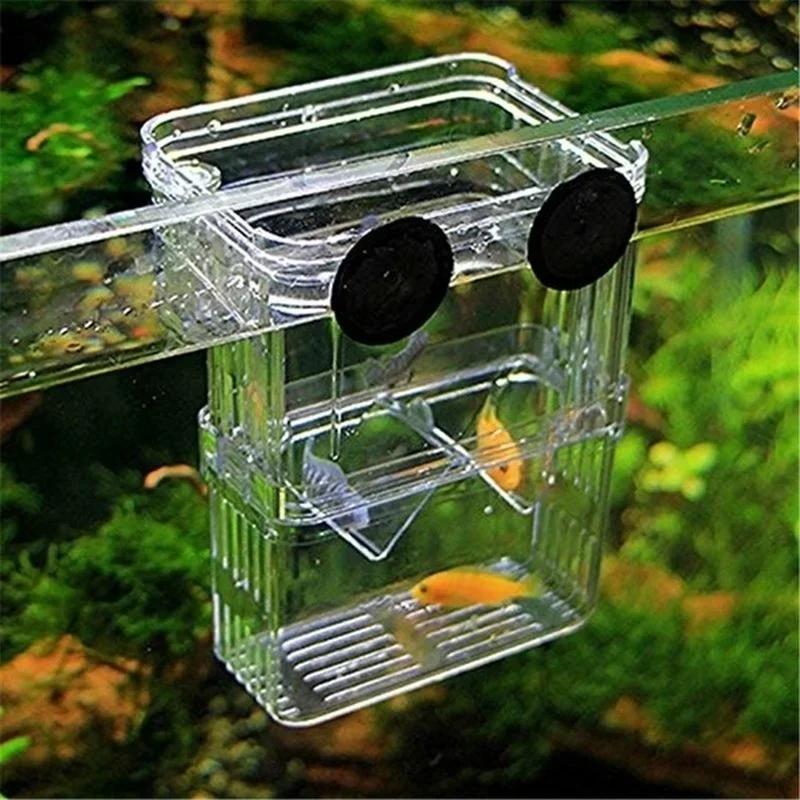 Transparent Fish Aquarium High - Aquarium Xxl ulasan dan harga