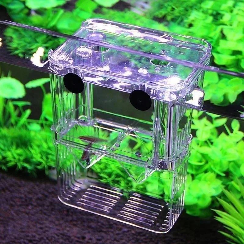 Transparent Fish Aquarium High - Aquarium Xxl ulasan dan harga