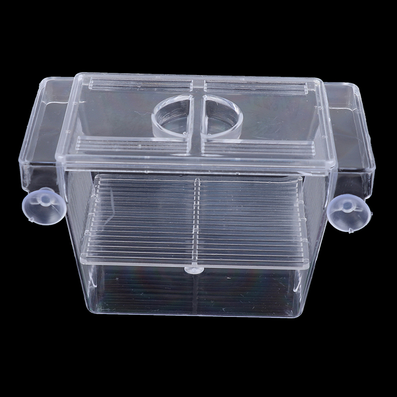 Aquarium Fish Tank Guppy Doubl - Aquarium Xxl ulasan dan harga
