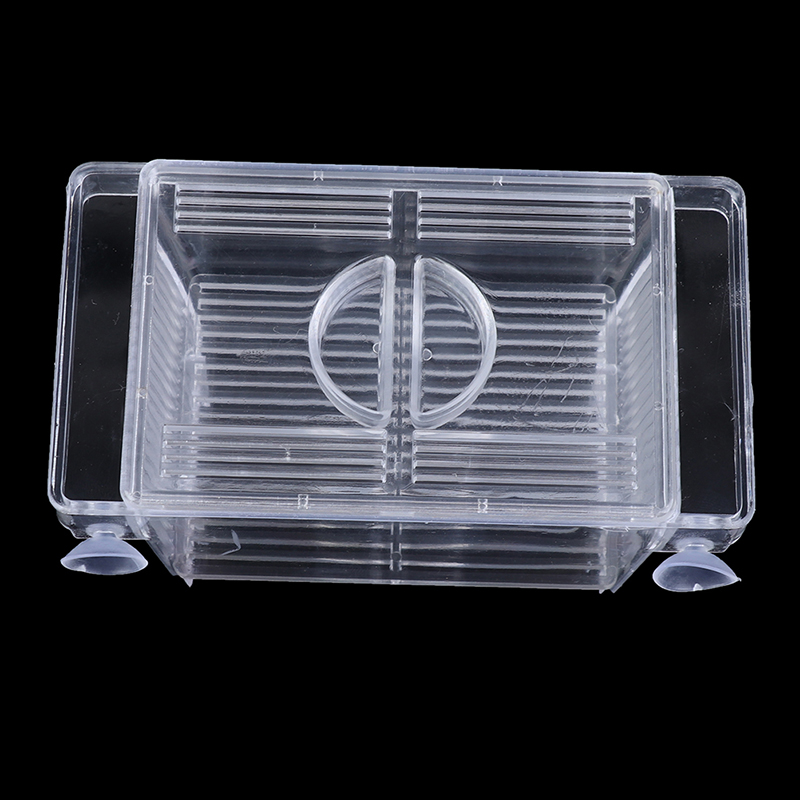 Aquarium Fish Tank Guppy Doubl - Aquarium Xxl ulasan dan harga