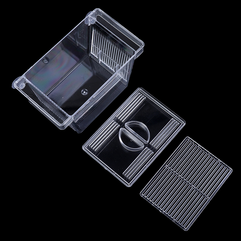 Aquarium Fish Tank Guppy Doubl - Aquarium Xxl ulasan dan harga