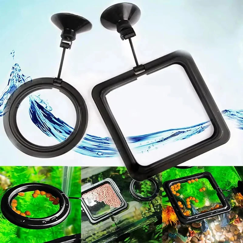 1-5pcs Aquarium Feeding Ring F - Aquarium Fish Auto Feeder ulasan dan harga