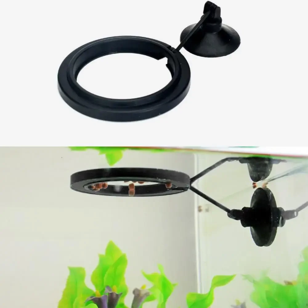 Feed Suction Cup Aquarium Feed - Aquarium Fish Auto Feeder ulasan dan harga