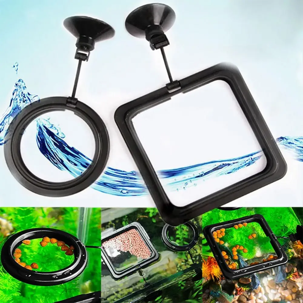 Feed Suction Cup Aquarium Feed - Aquarium Fish Auto Feeder ulasan dan harga