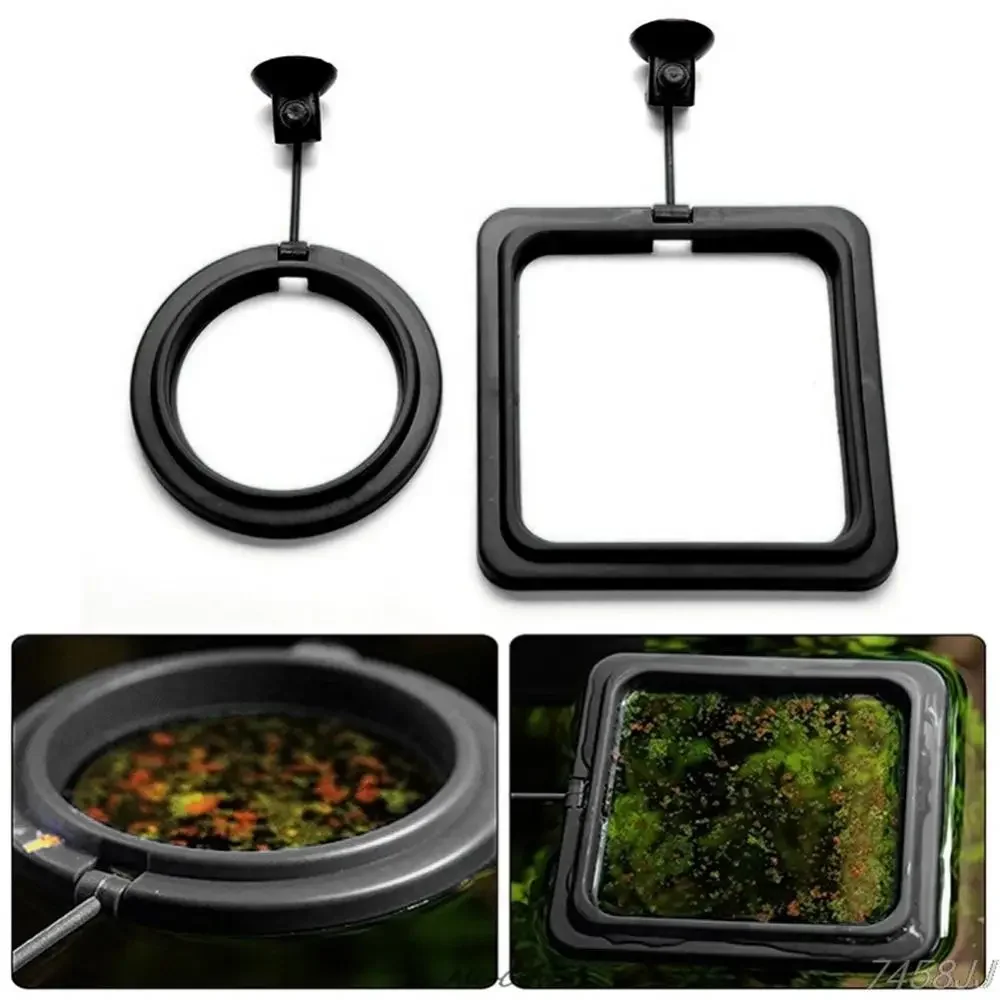 Feed Suction Cup Aquarium Feed - Aquarium Fish Auto Feeder ulasan dan harga