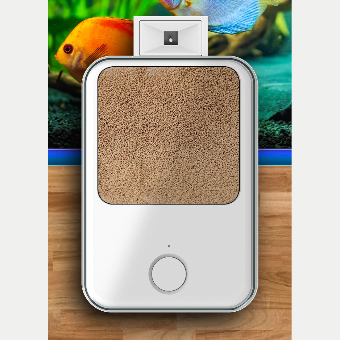 1PC WIFI/Button Version automa - Aquarium Fish Auto Feeder ulasan dan harga