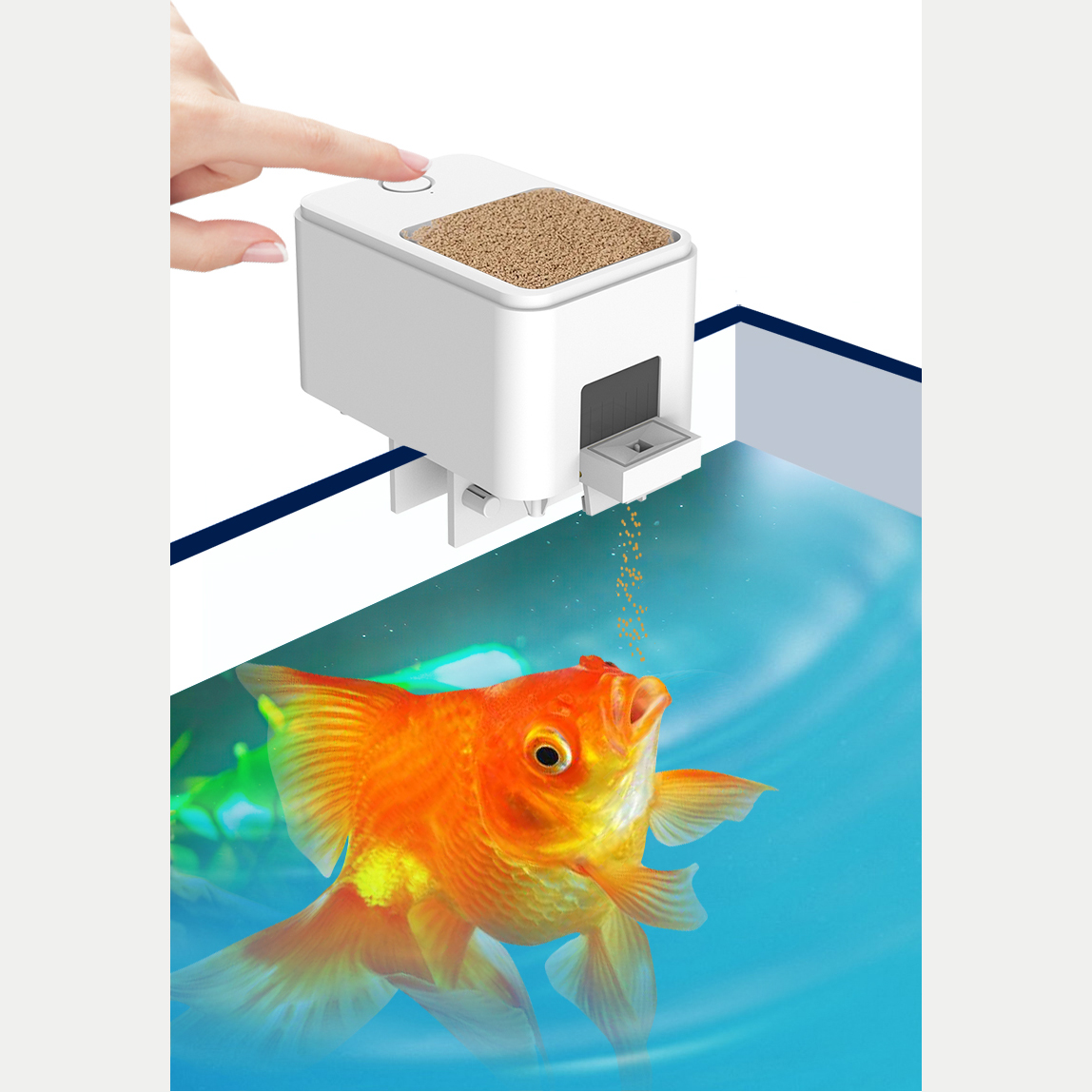 1PC WIFI/Button Version automa - Aquarium Fish Auto Feeder ulasan dan harga