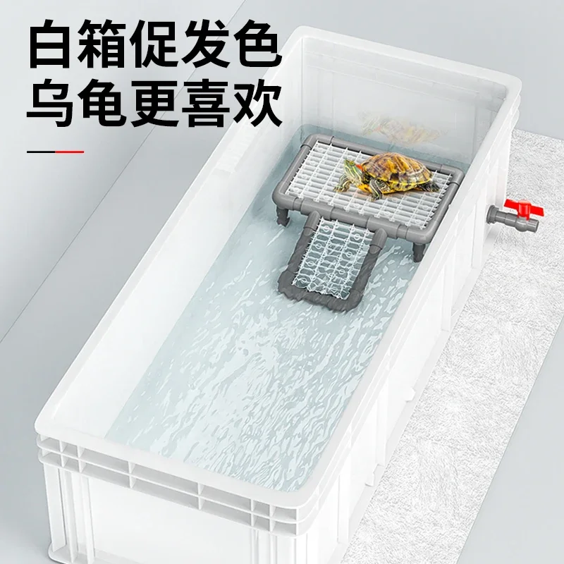 A  Turtle tank big turtle prof - Fish Co Aquarium ulasan dan harga
