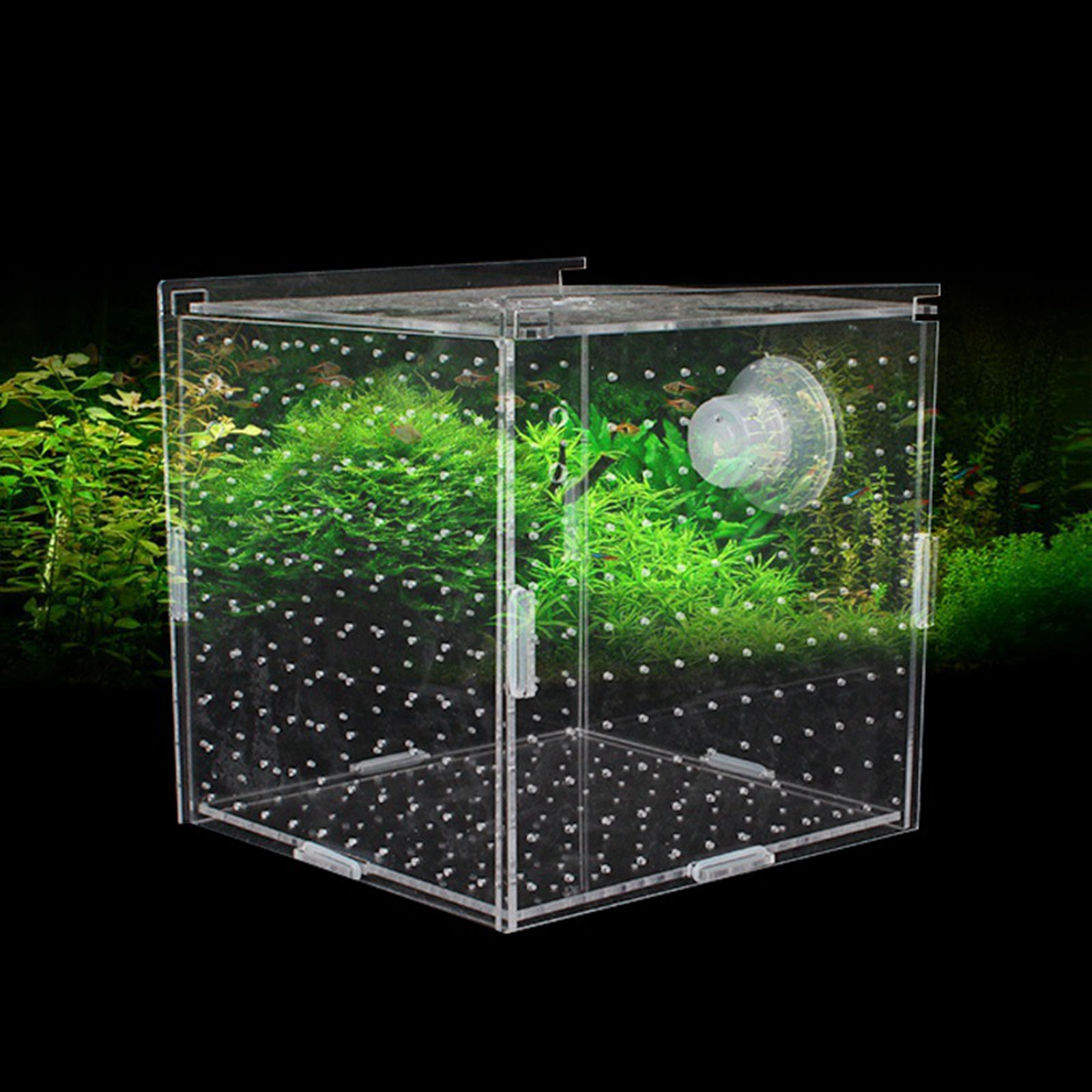 Fish Breeder Box Clear Durable - Aquarium Xxl ulasan dan harga