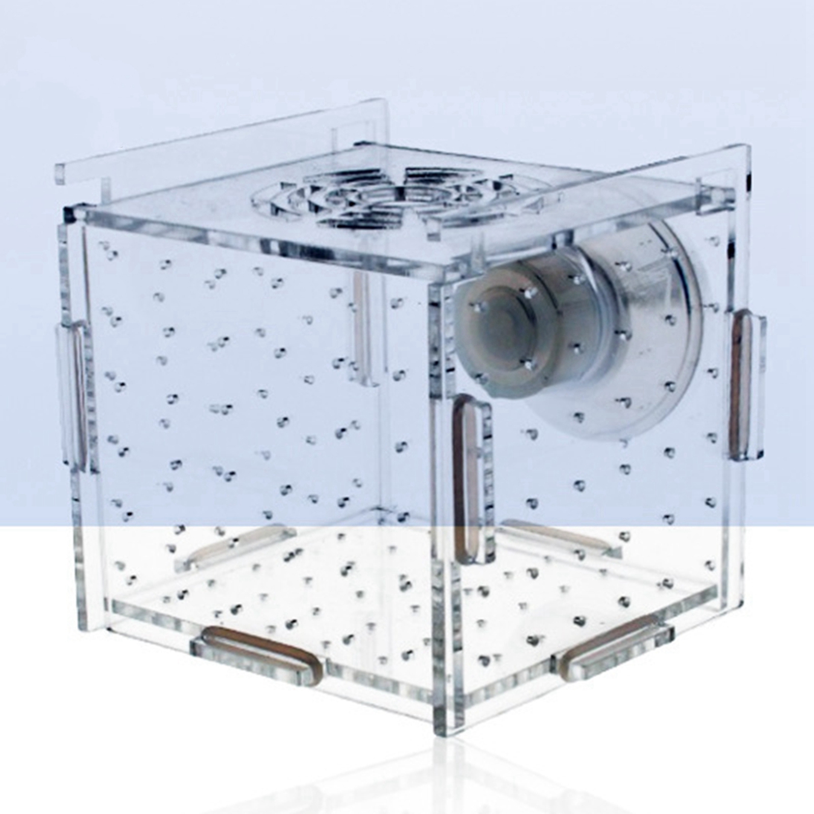 Fish Breeder Box Clear Durable - Aquarium Xxl ulasan dan harga