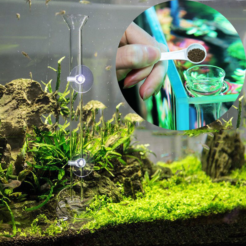 Glass Aquarium Feeder Tube Dis - Aquarium Fish Auto Feeder ulasan dan harga