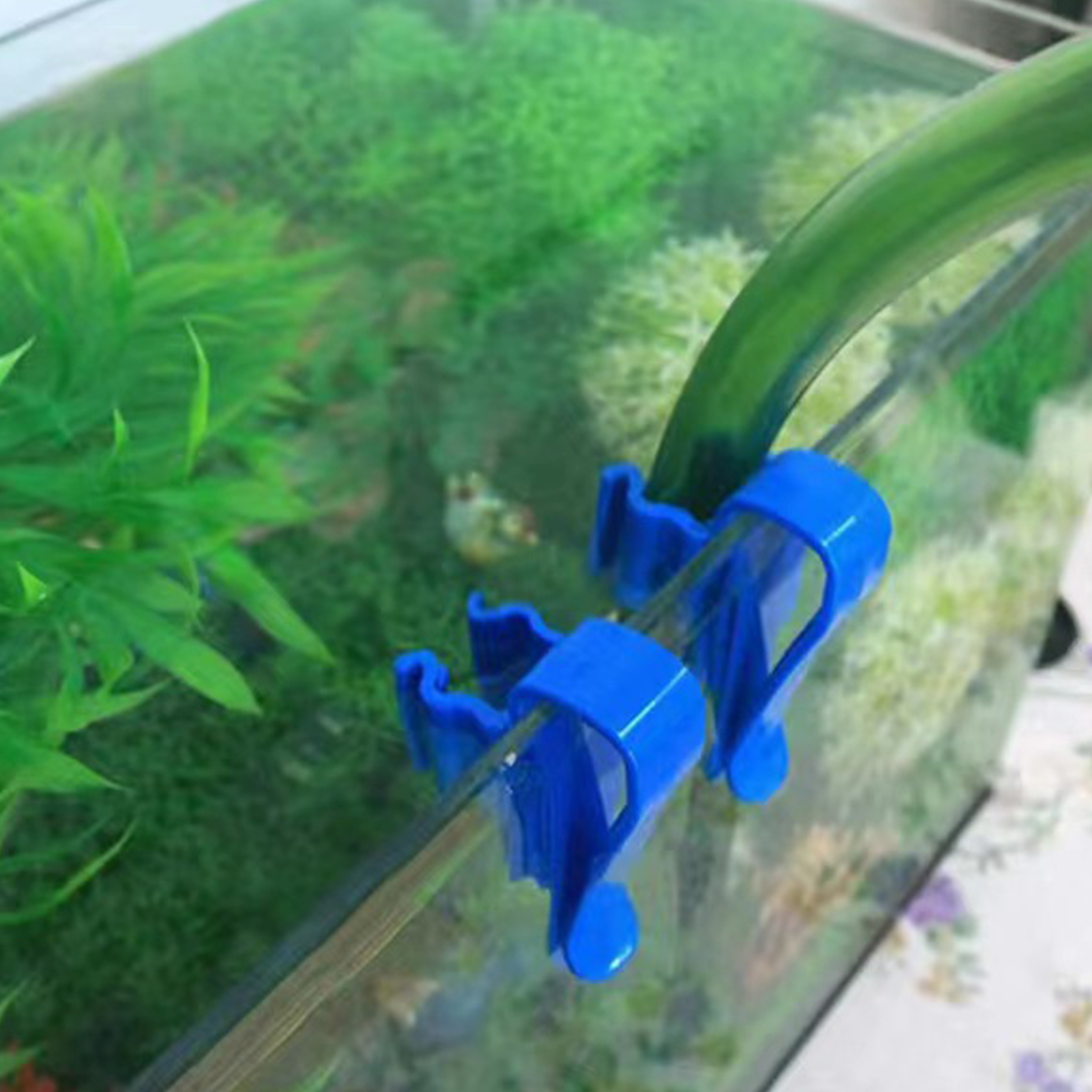 Aquarium Tube Holder Clip Fish - Aquarium Fish Care ulasan dan harga