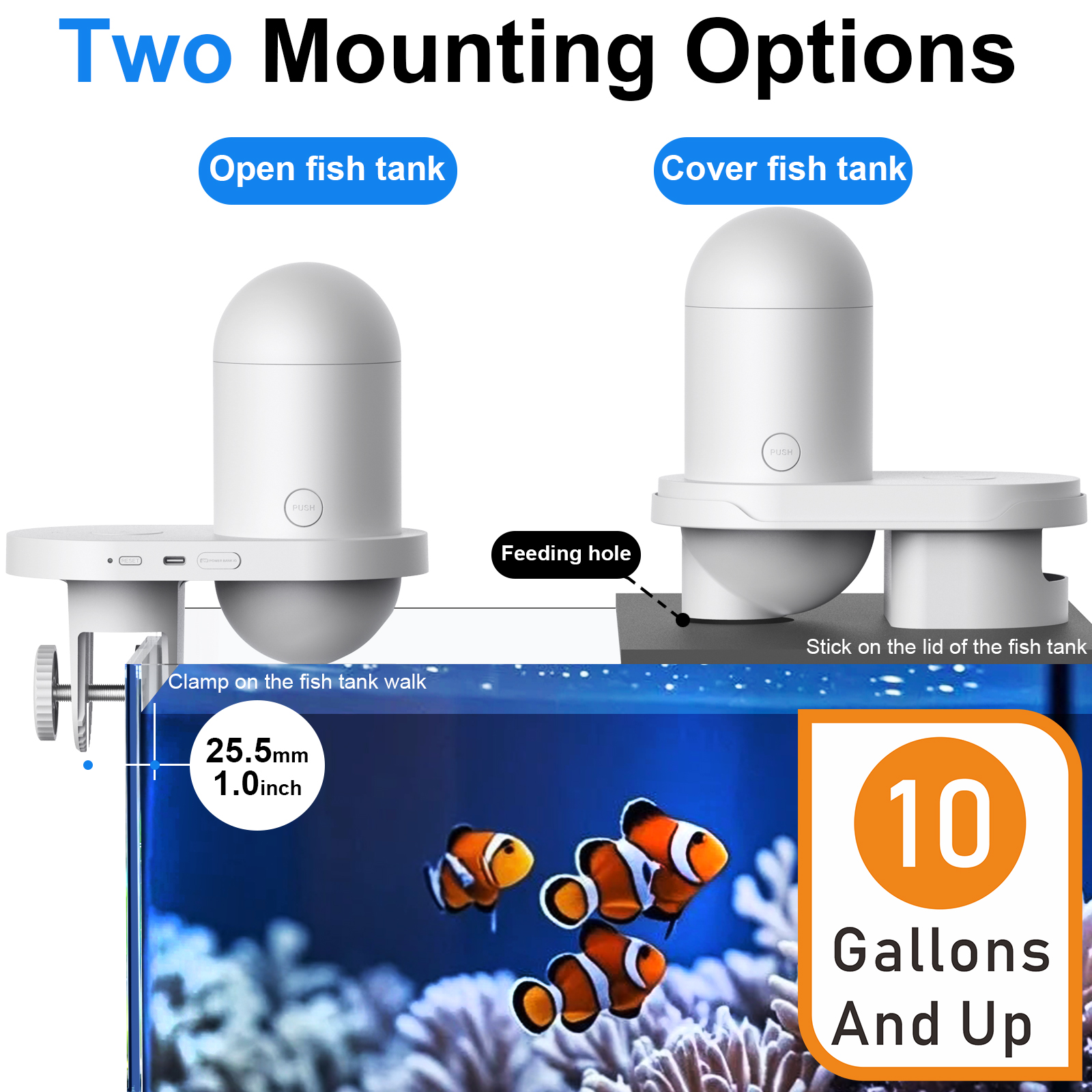 Automatic Fish Feeder With Cam - Aquarium Fish Auto Feeder ulasan dan harga