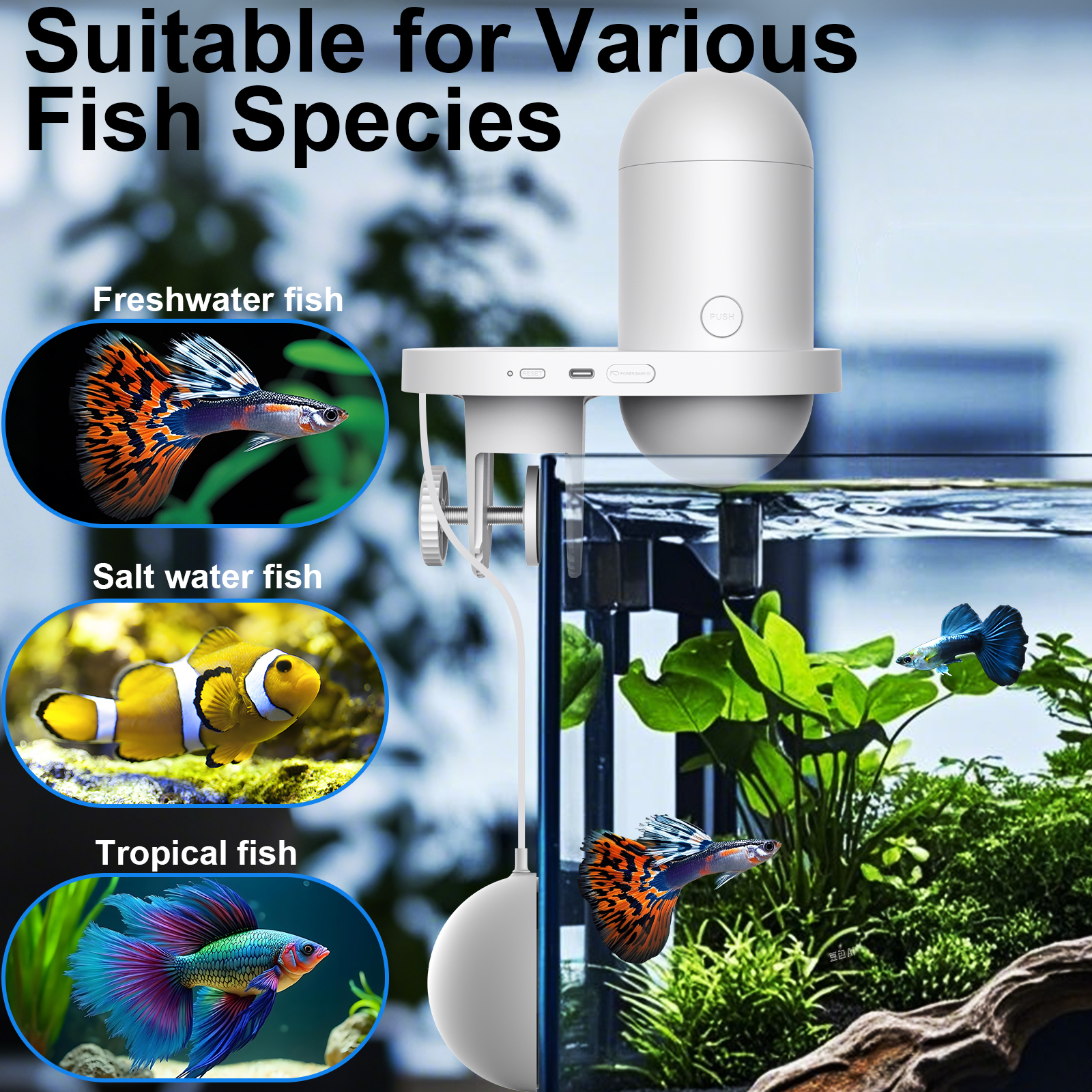 Automatic Fish Feeder With Cam - Aquarium Fish Auto Feeder ulasan dan harga