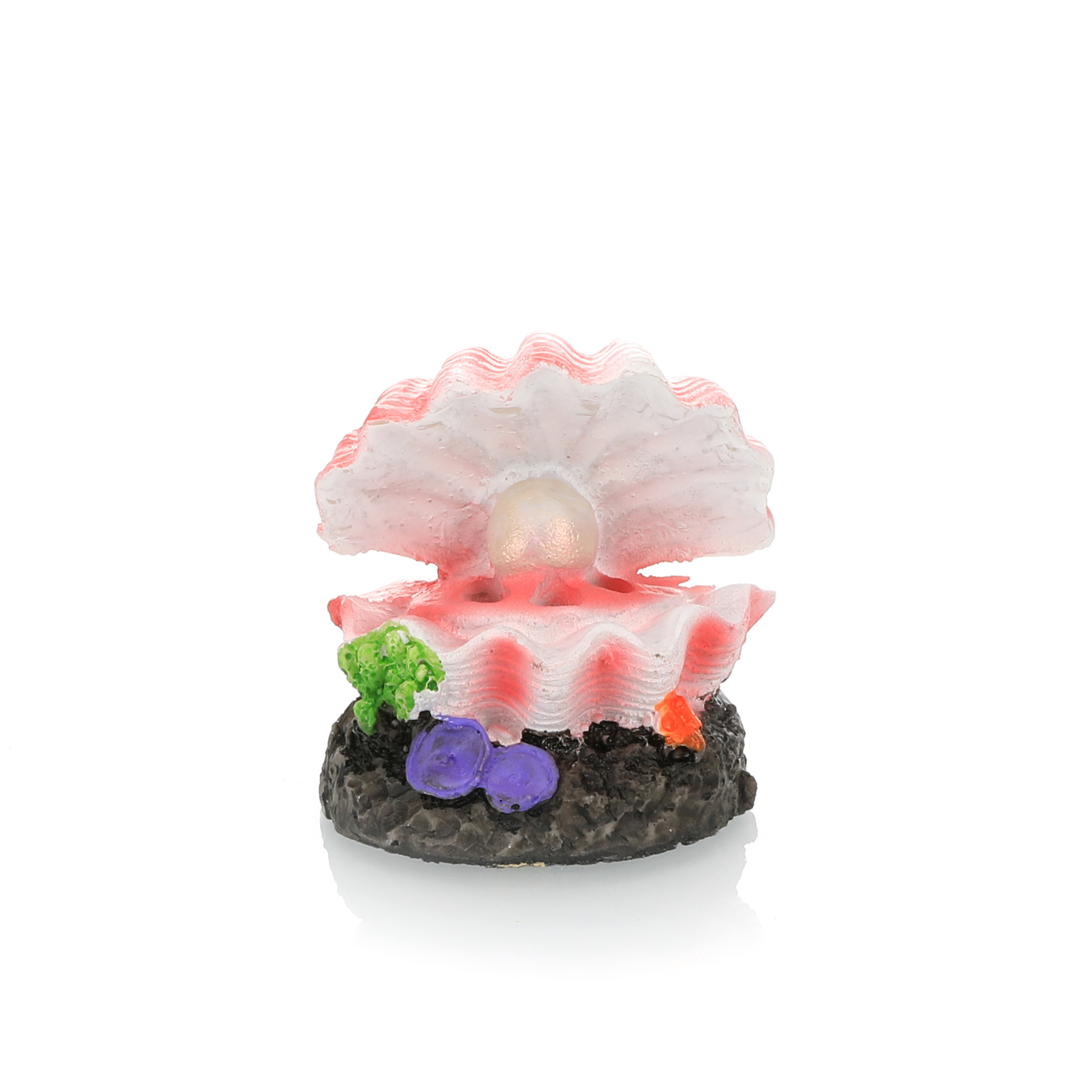 Fish Tank Landscaping Simulati - Aquarium Fish Tank Price ulasan dan harga