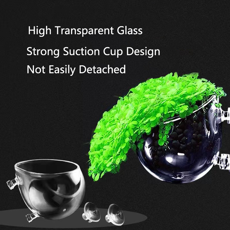 Glass Aquarium Decoration Hang - Aquarium Fish Tank Price ulasan dan harga